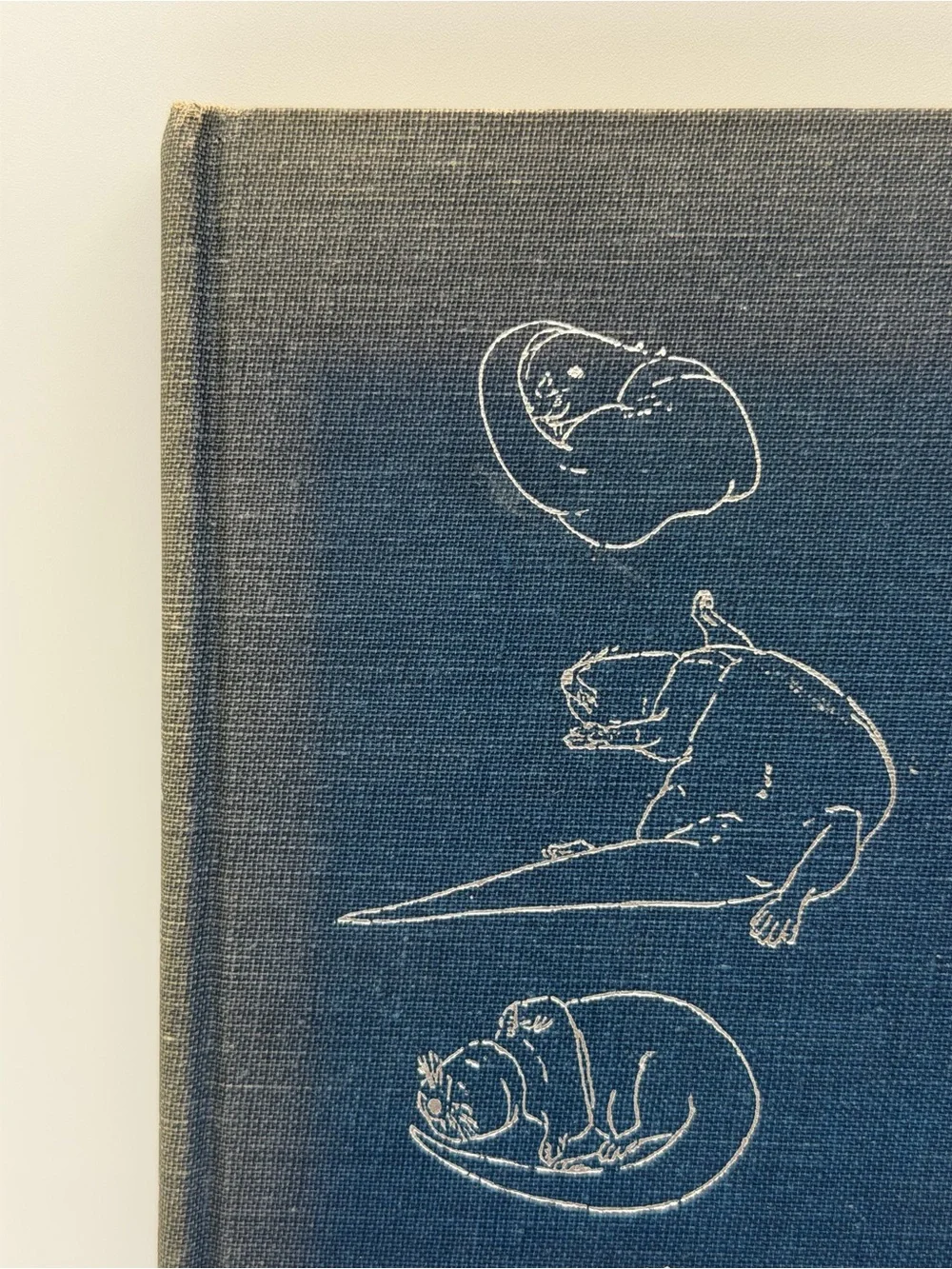 The Otter's Tale by Gavin Maxwell (Hardcover Book, 1962) First Edition